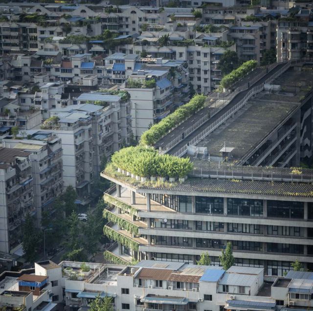 竞博官方网站牛！成都修建家刘家琨获2025普利兹克修建奖(图13)