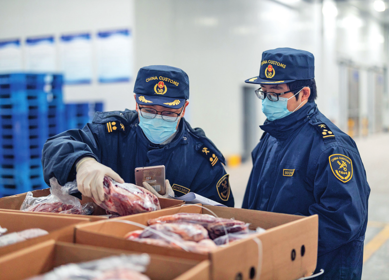 竞博体育瞭望·治国理政纪事｜把西部陆海新通道建立好运营好(图4)